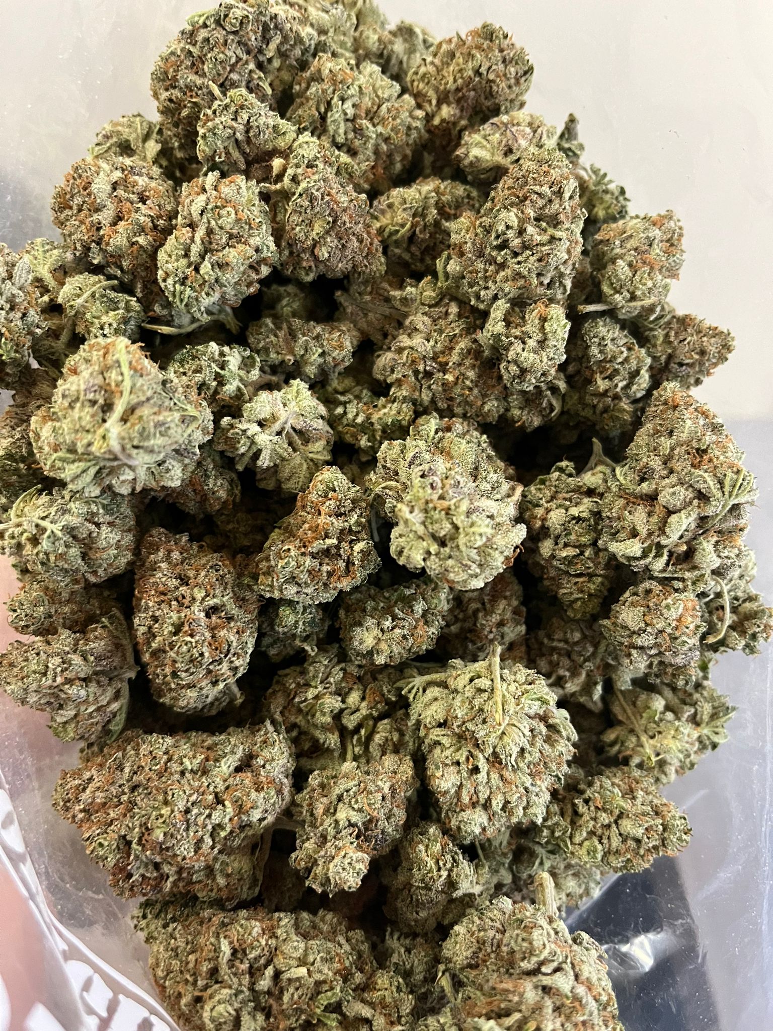 Star Berry Indica