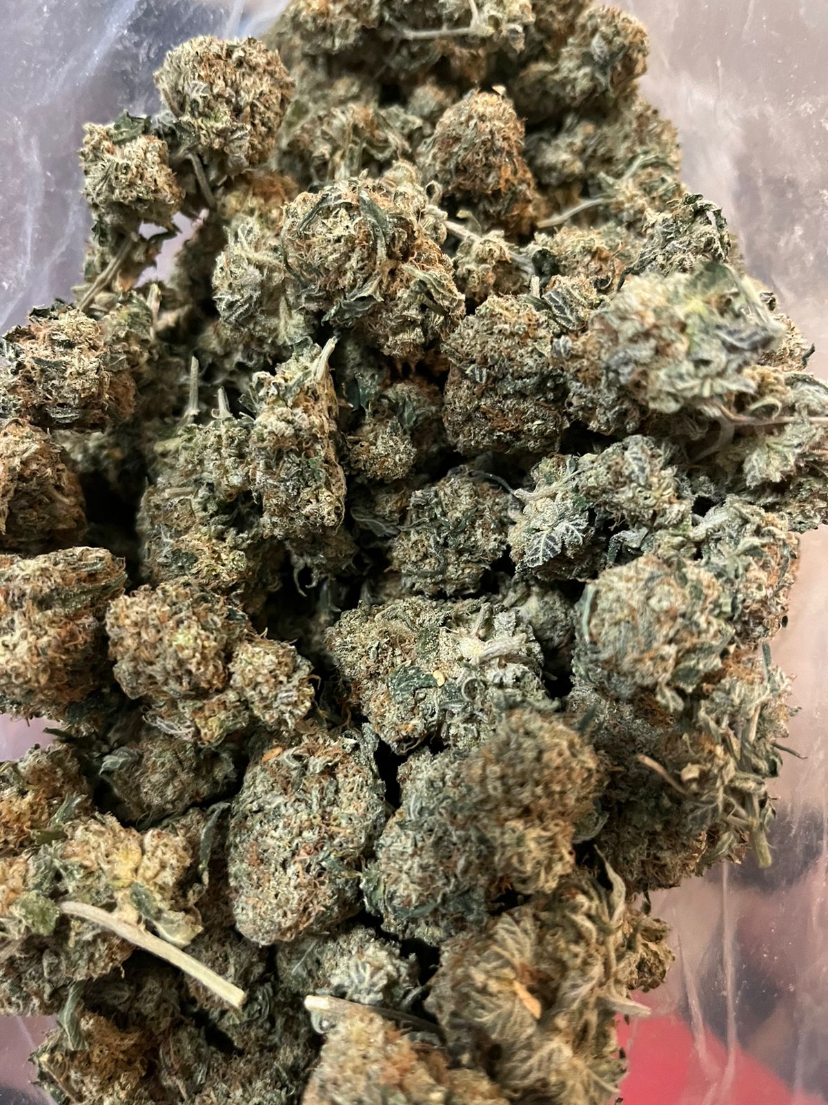 Skunk No.1