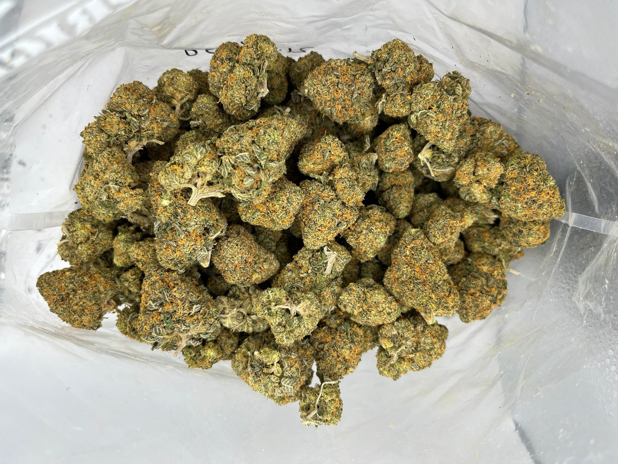 Maui Mango Diesel