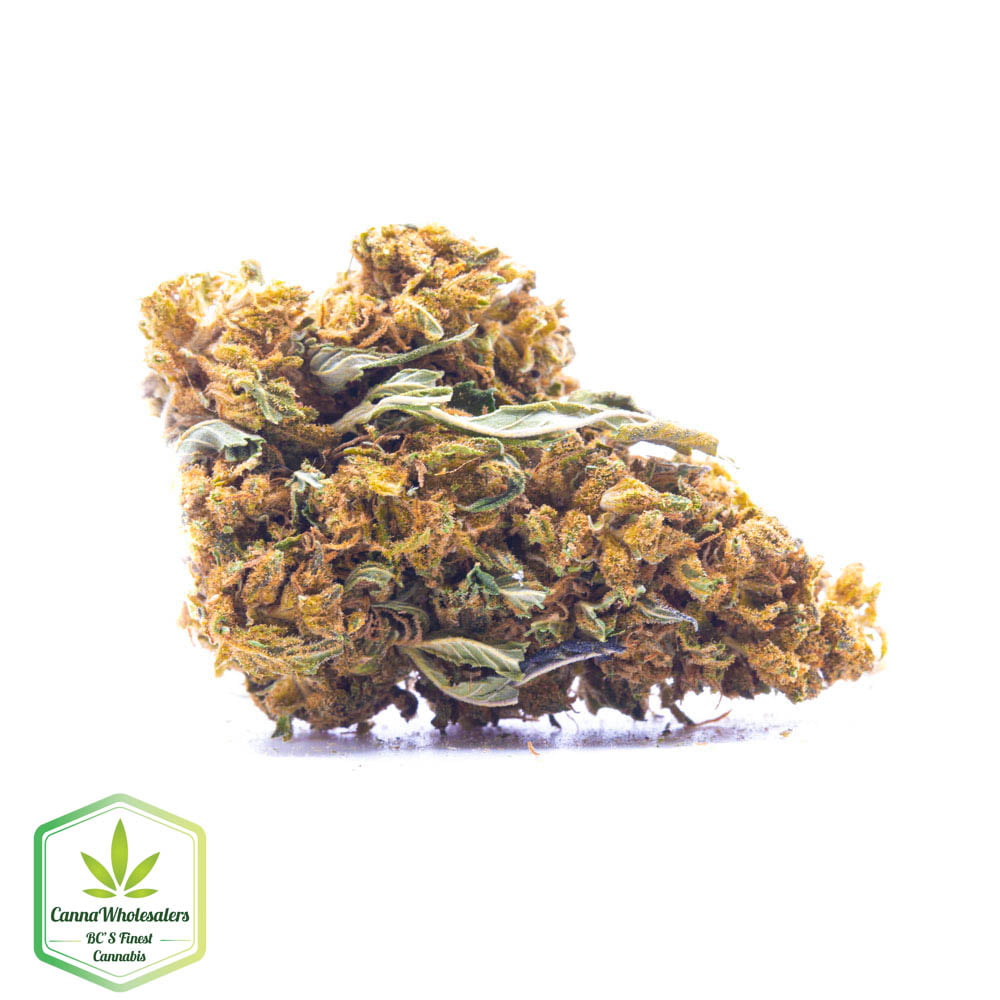 Greenhouse – Ape Diesel