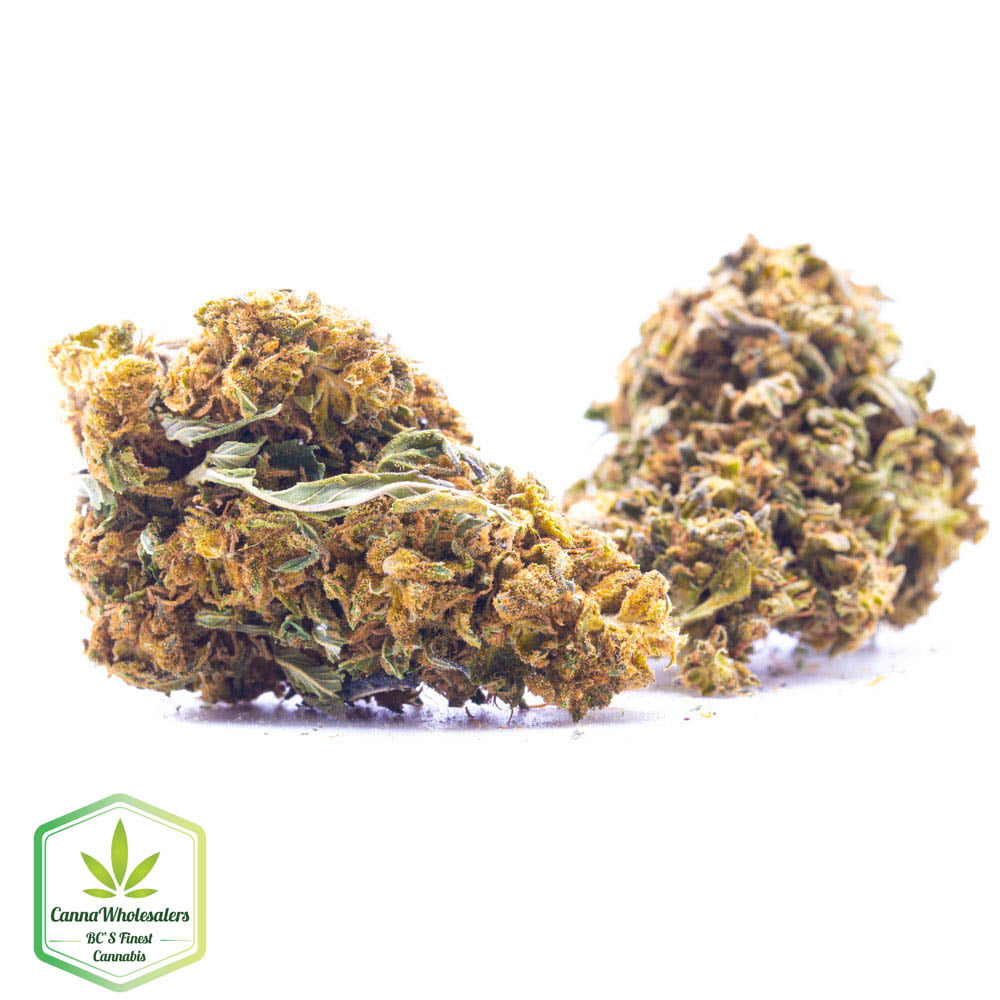 Greenhouse – Ape Diesel