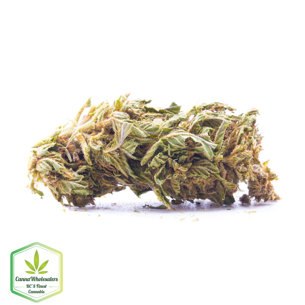 Greenhouse – Superman OG