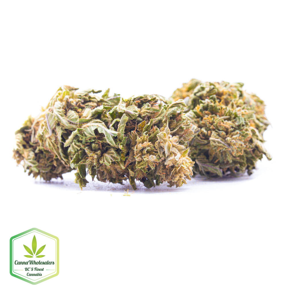 Greenhouse – Superman OG