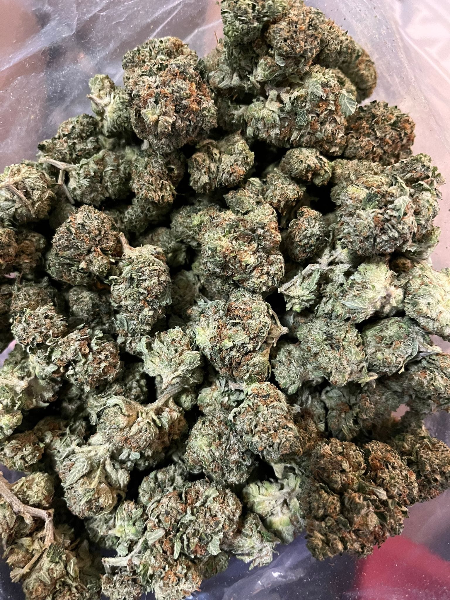 303 Kush