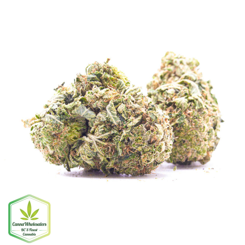 Budget Oz – King’s Kush