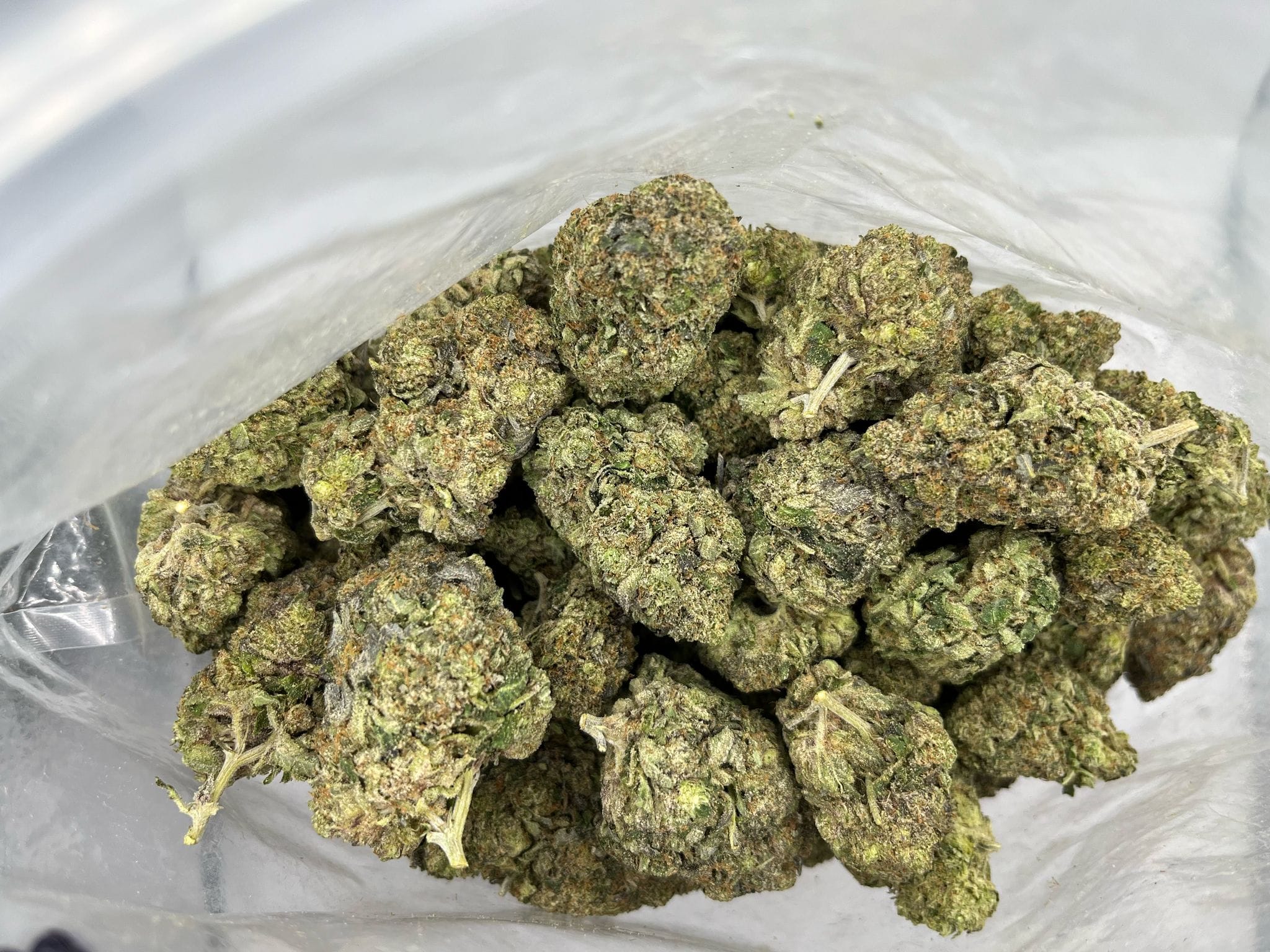 King’s Kush
