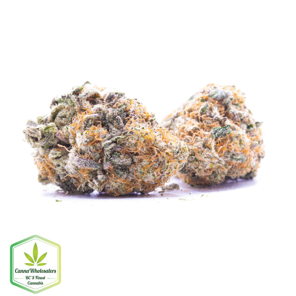 Budget Oz – Murkle