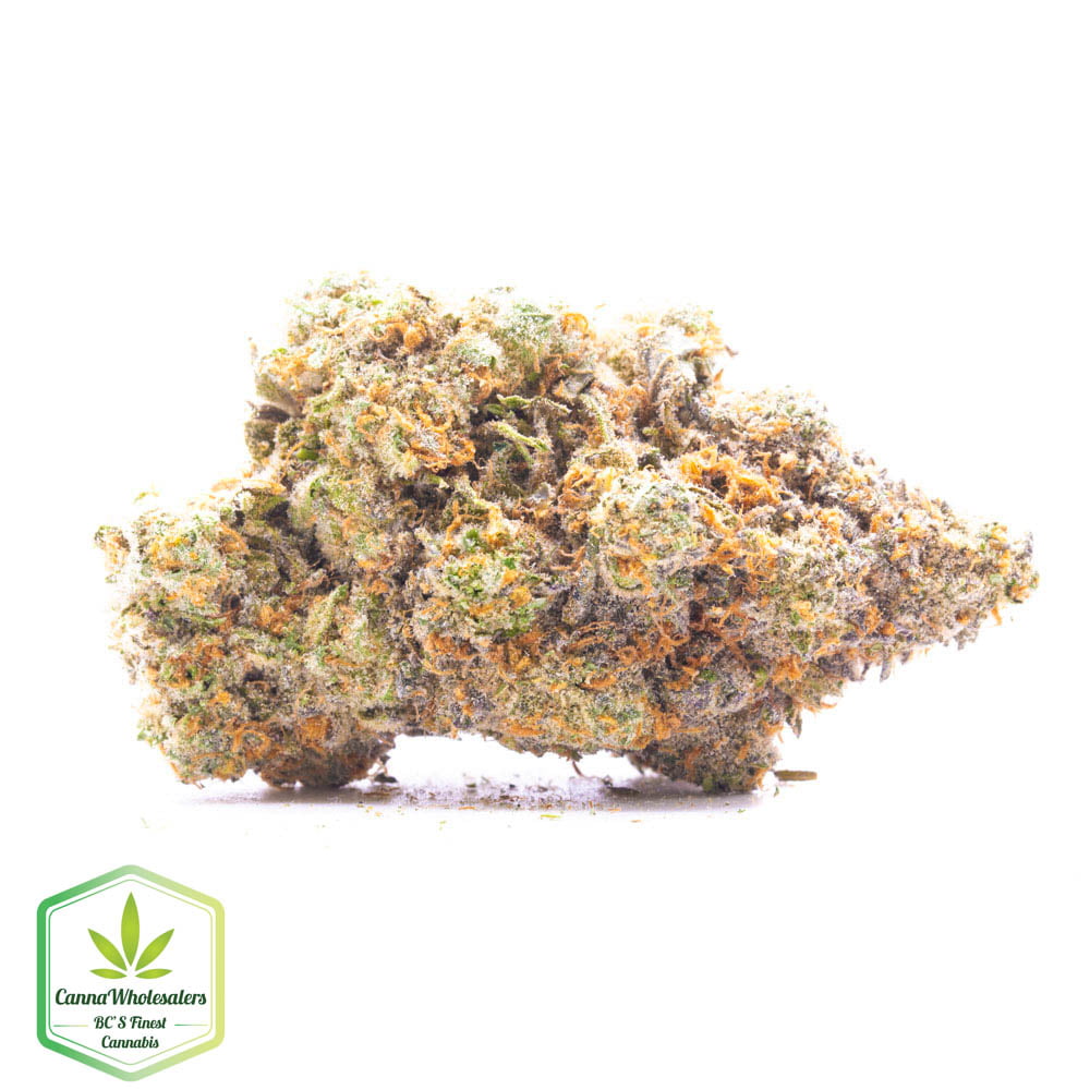 Airheads – Craft Gardens