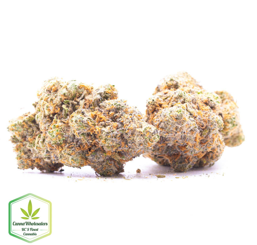 Airheads – Craft Gardens
