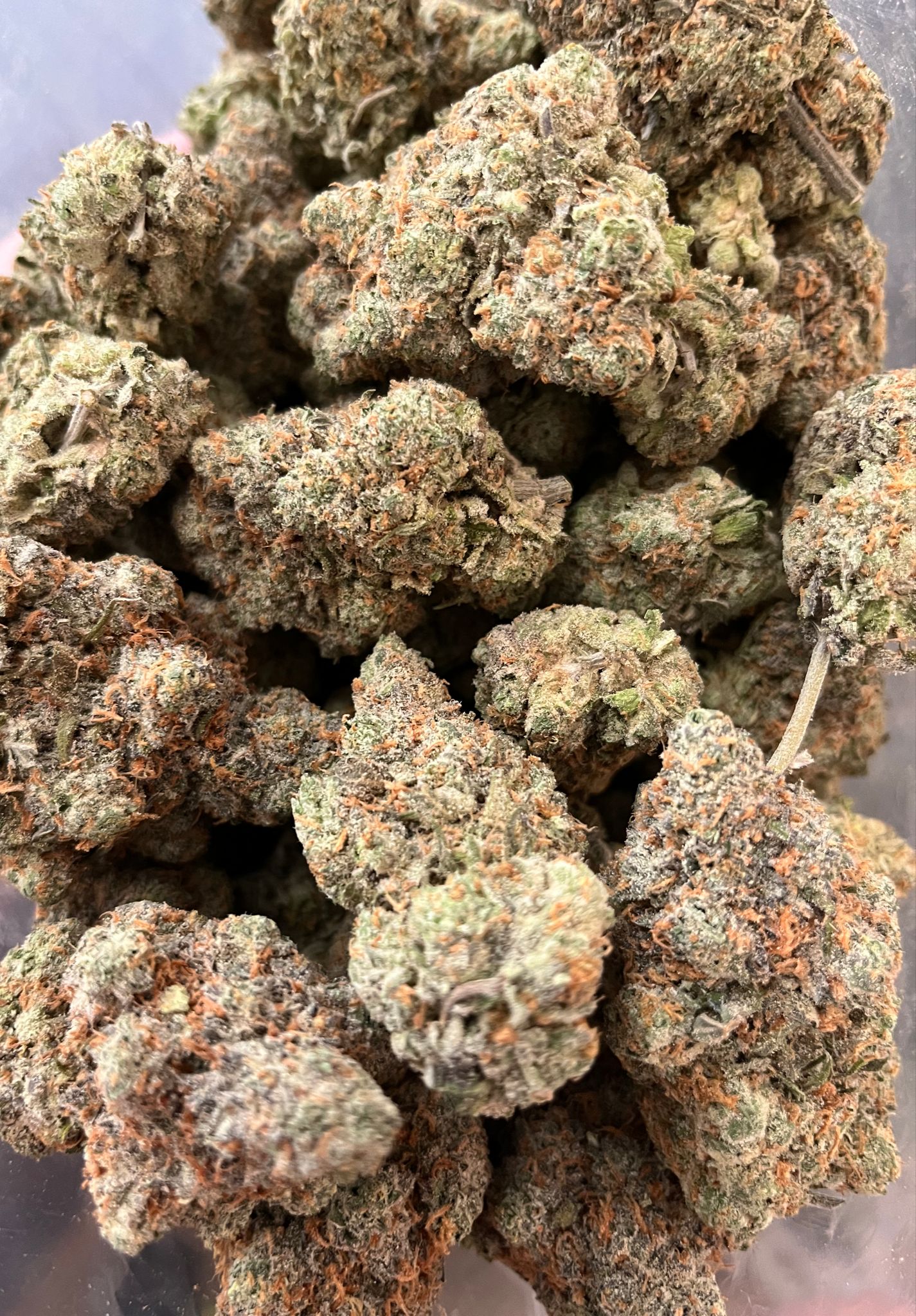 Airheads – Craft Gardens