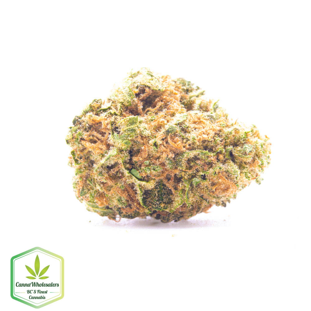 Headband