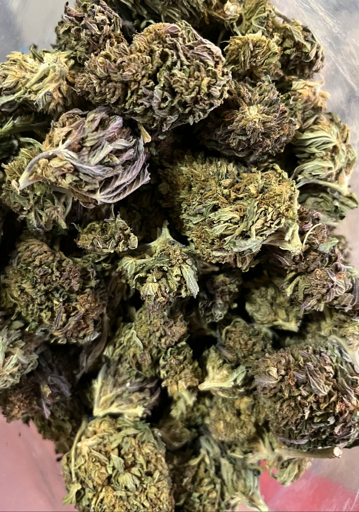 Violet Delight