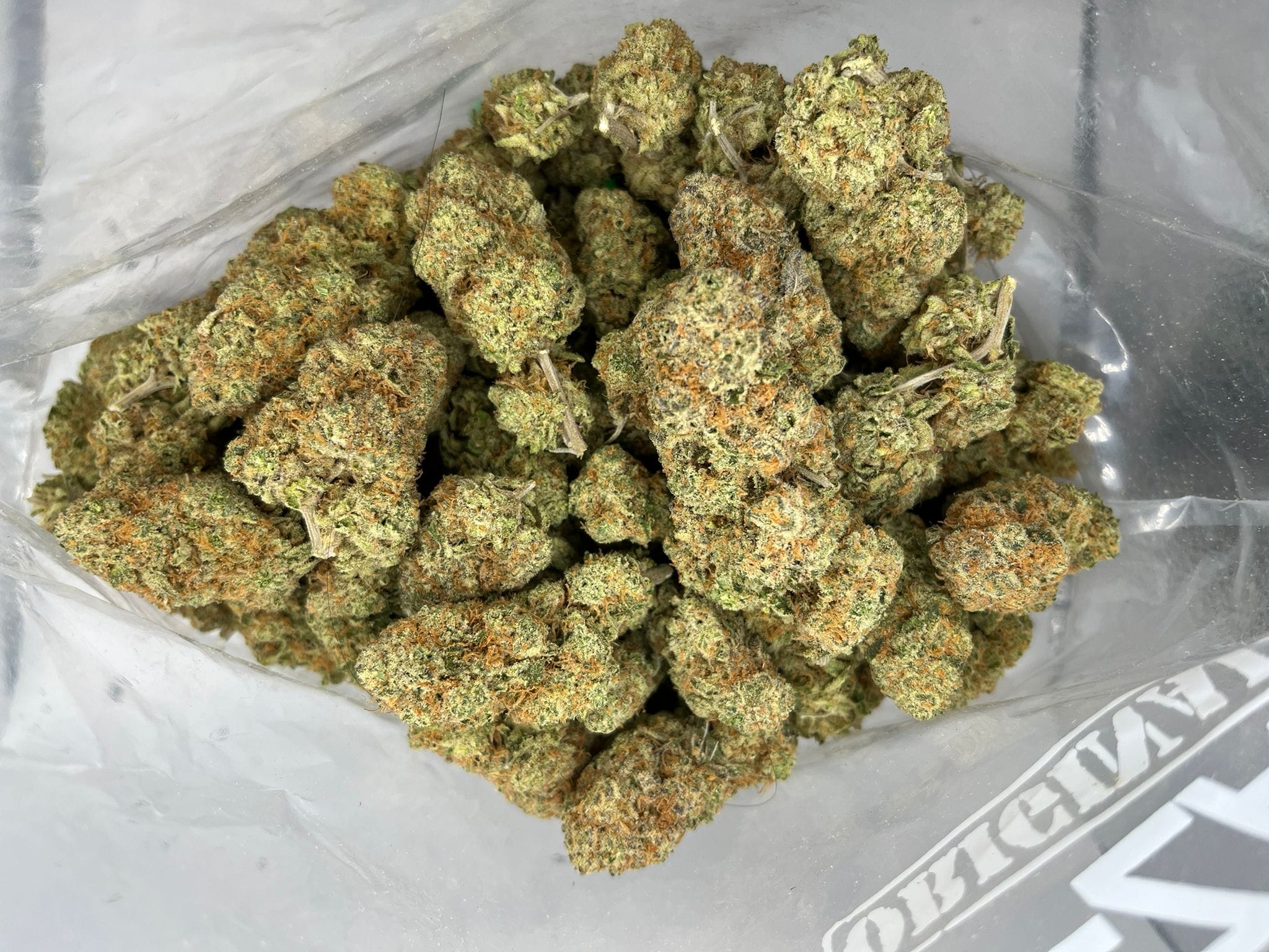 Budget Oz – Peyote Critical