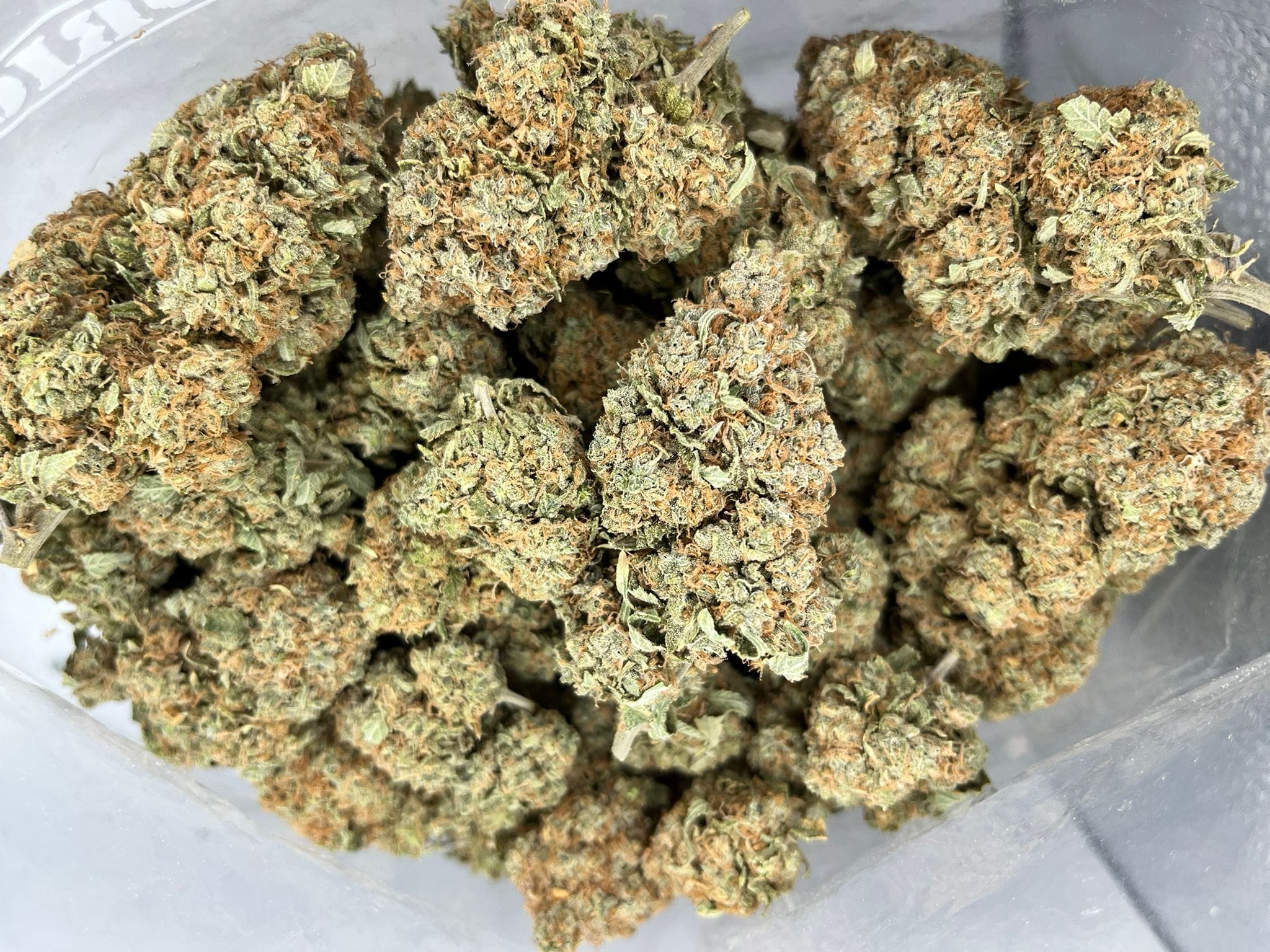 Orange Cookies