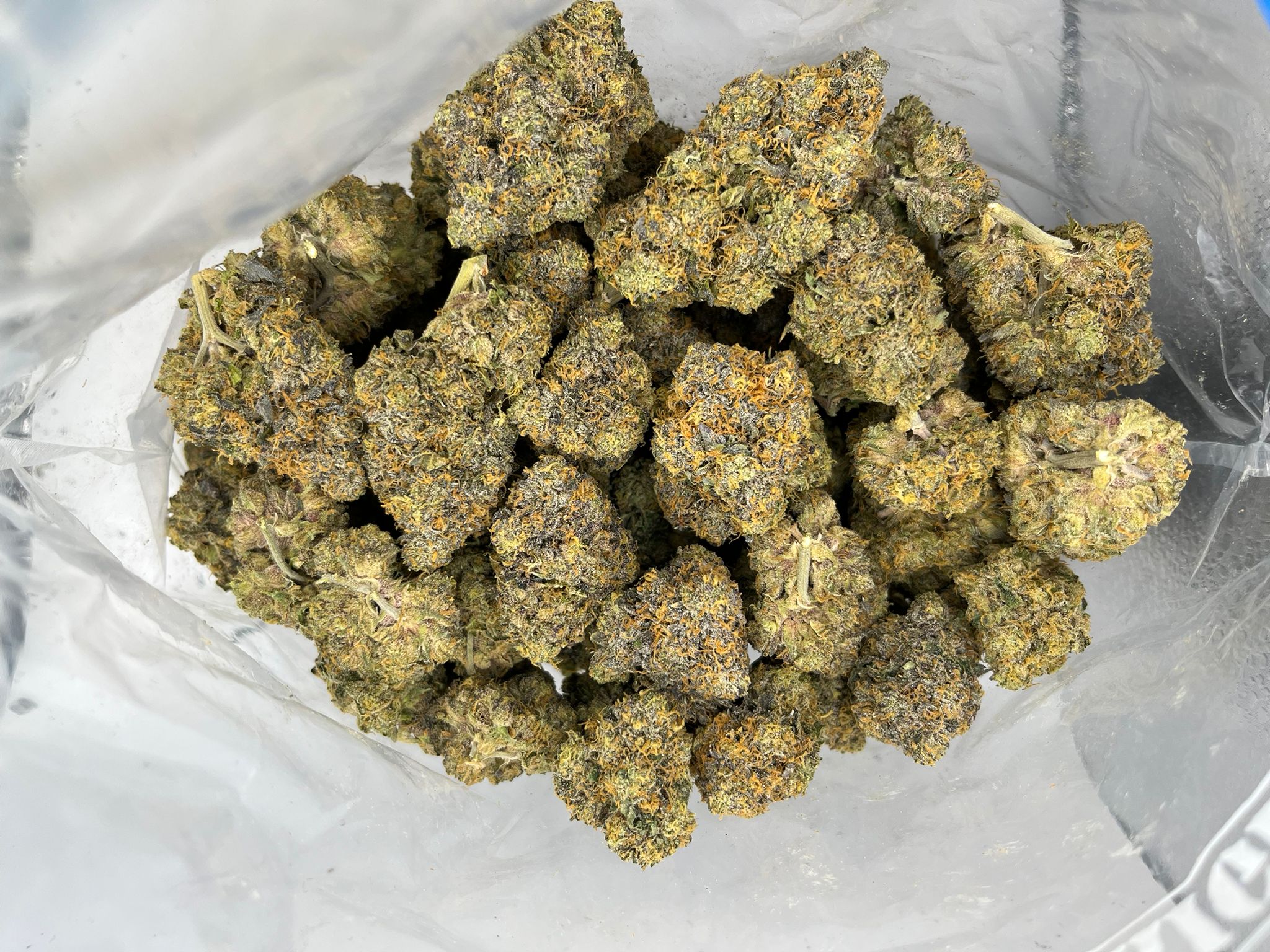 Airheads – Craft Gardens