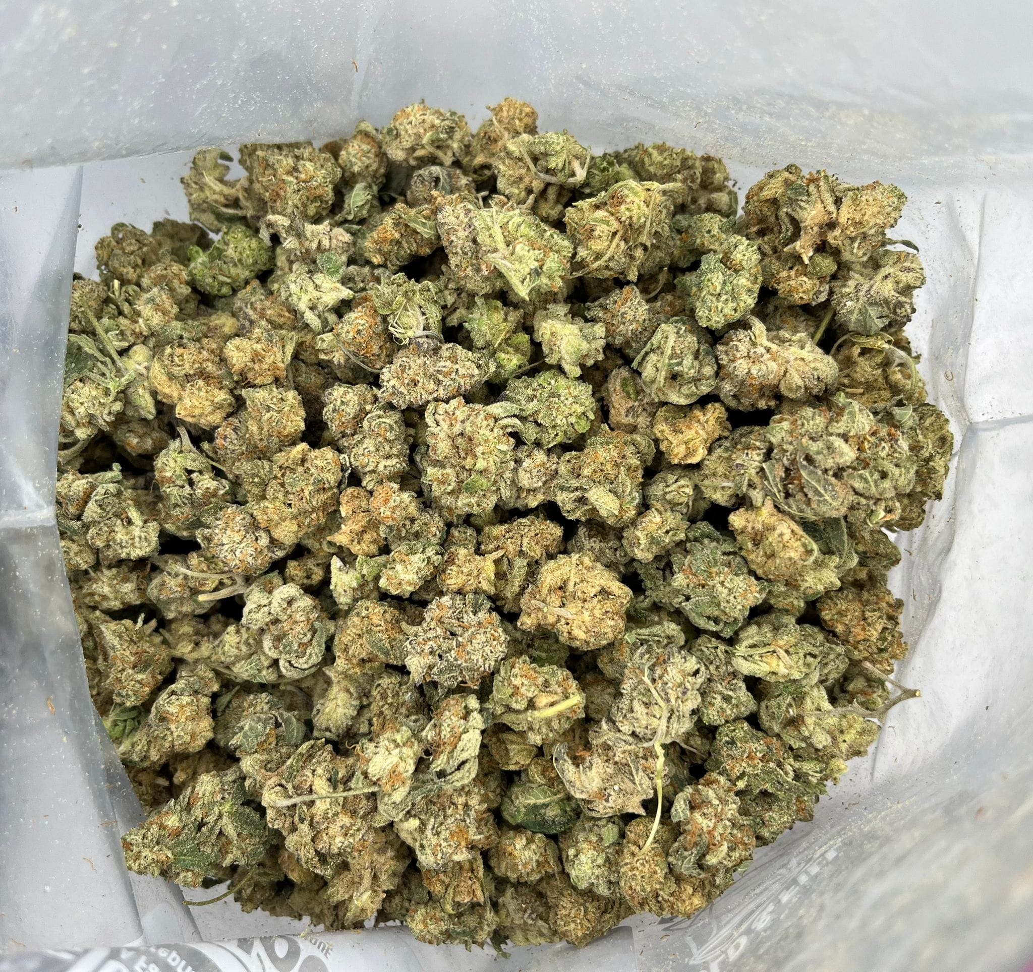 Cookies Kush