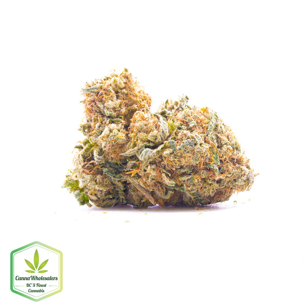 Skunk No.1