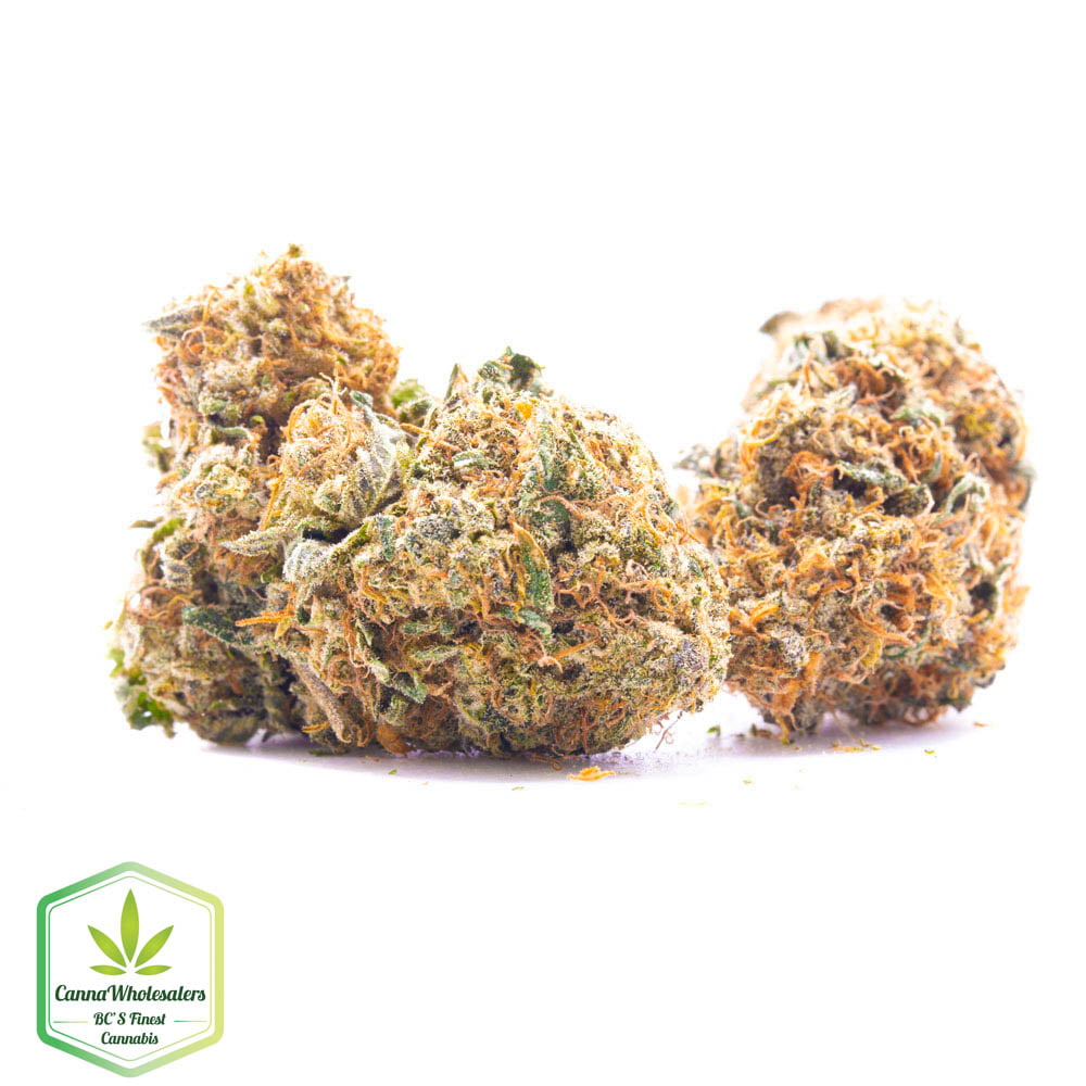 Skunk No.1