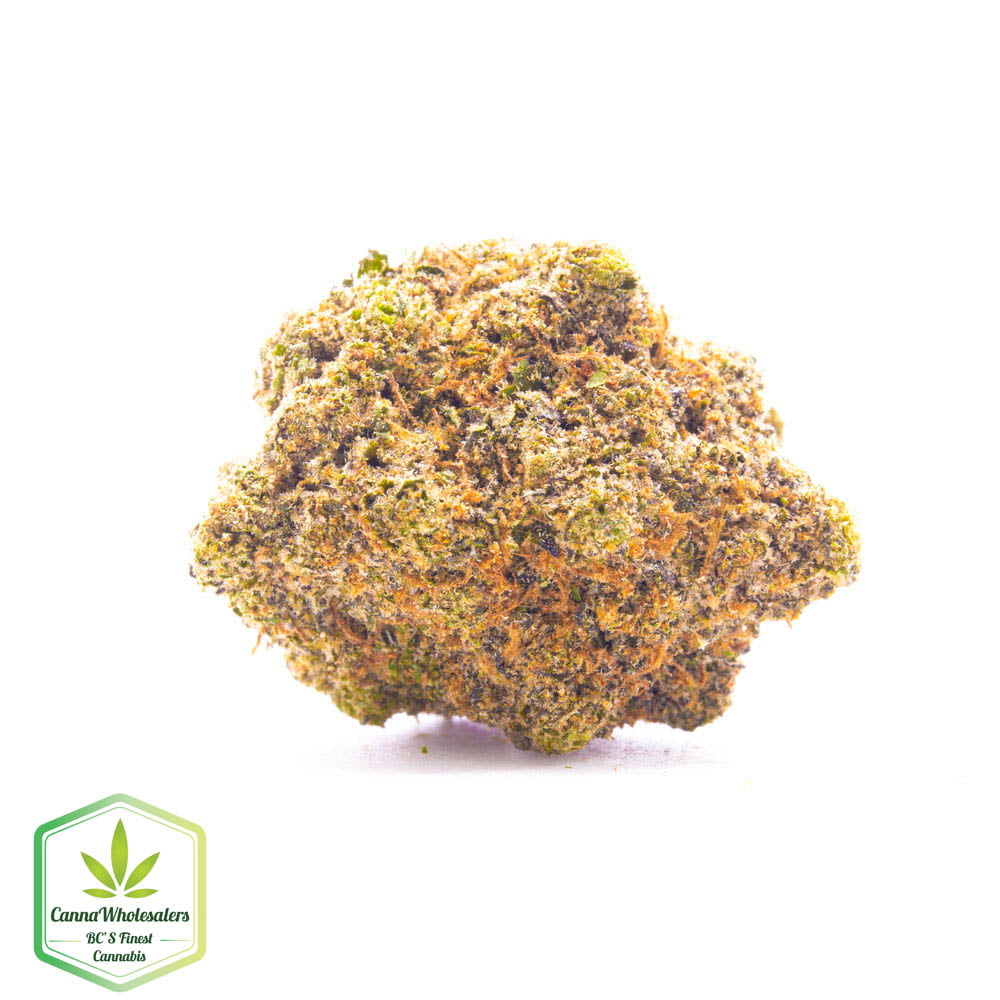 Rockstar Master Kush