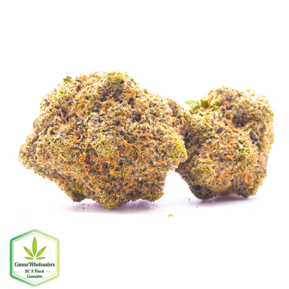 Rockstar Master Kush