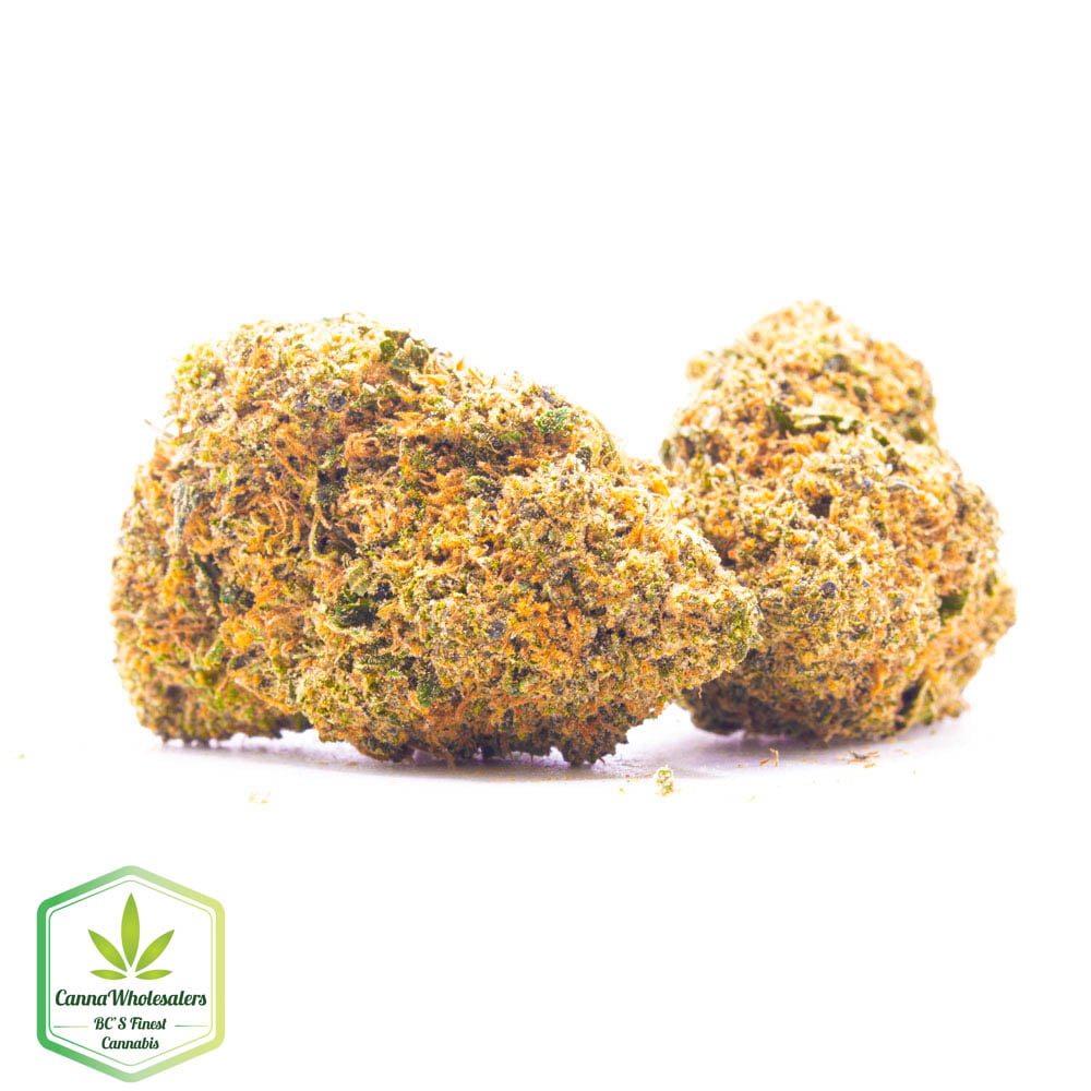Budget Oz – Papa’s OG