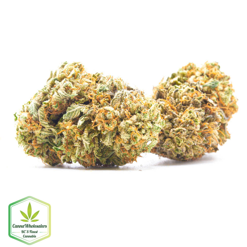 Budget Oz – Skunk Ape