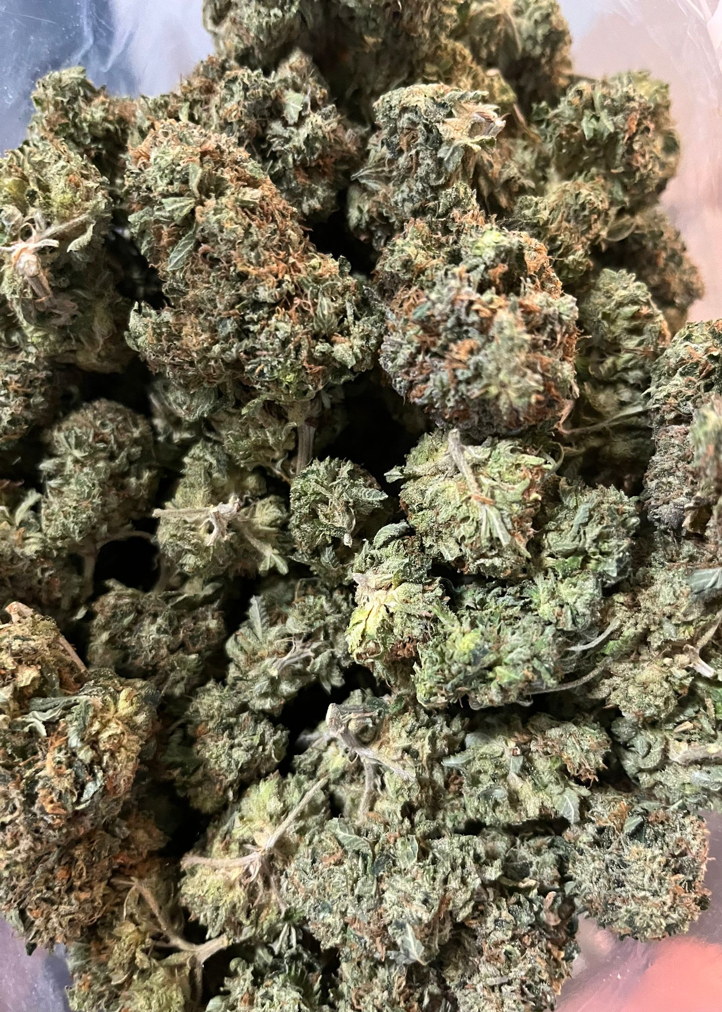 Budget Oz – Bubba’s Bitch