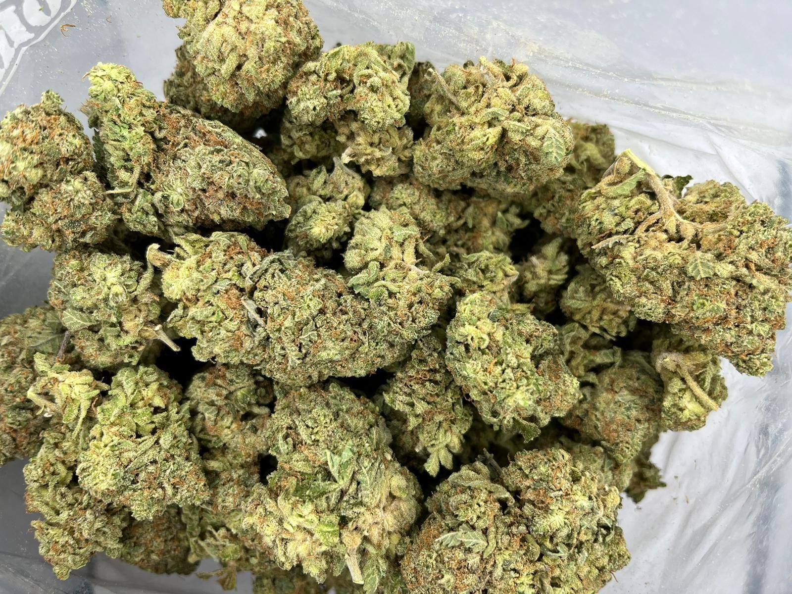 Urkle Train Haze