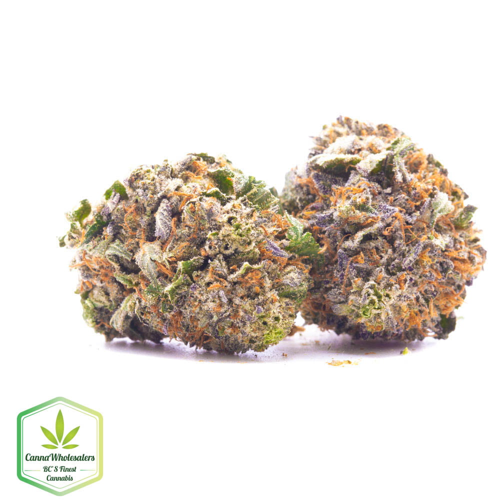Budget Oz – Karmarado OG
