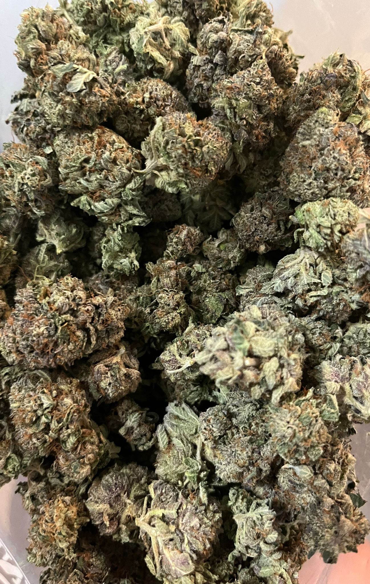 Budget Oz – Karmarado OG