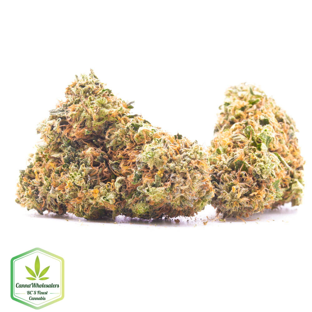 Budget Oz – Bubba’s Bitch