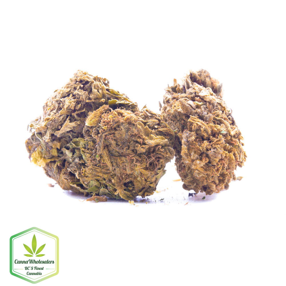 Budget Oz – Greenhouse P51