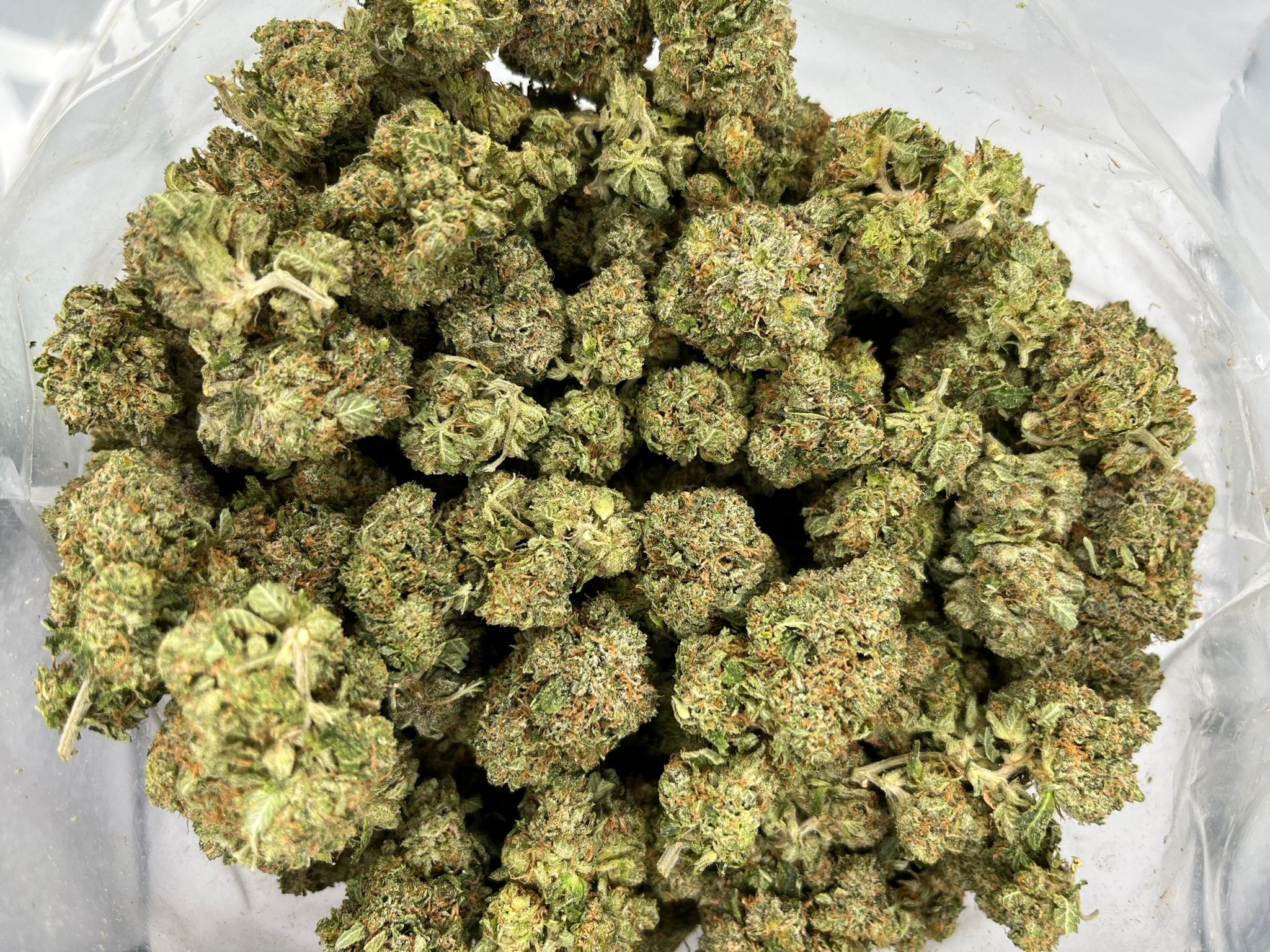 Bugatti OG