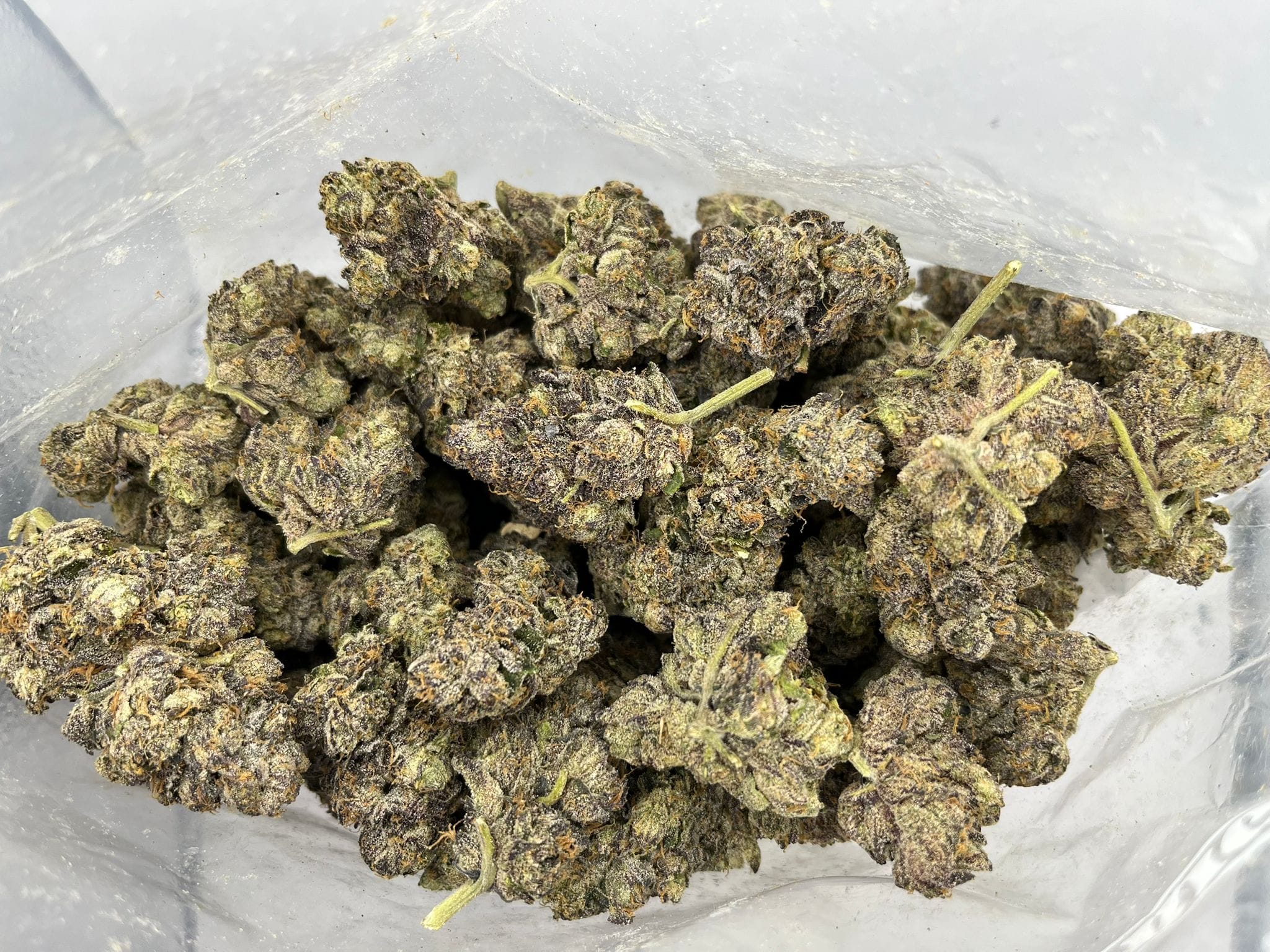 Silver Blaze – Craft Gardens