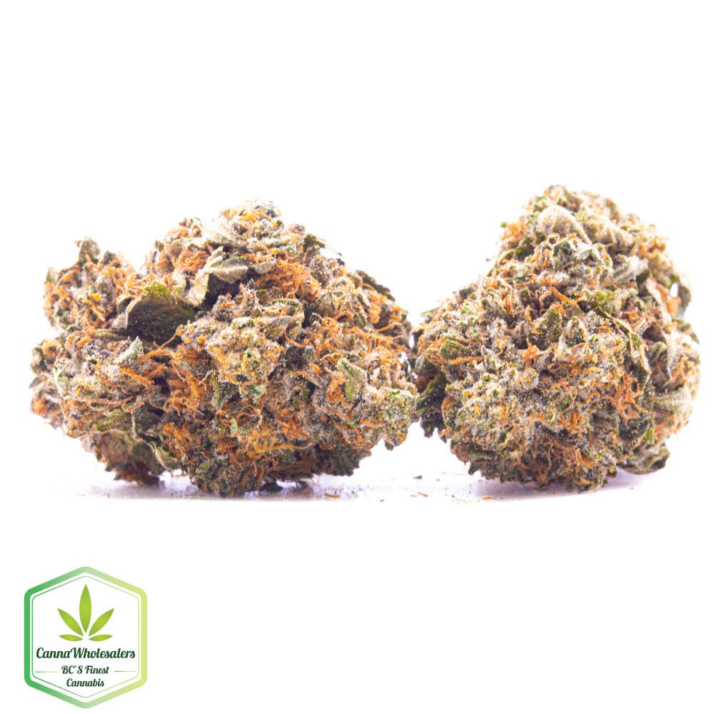Alien OG