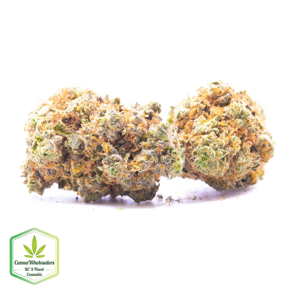 Blueberry Dream