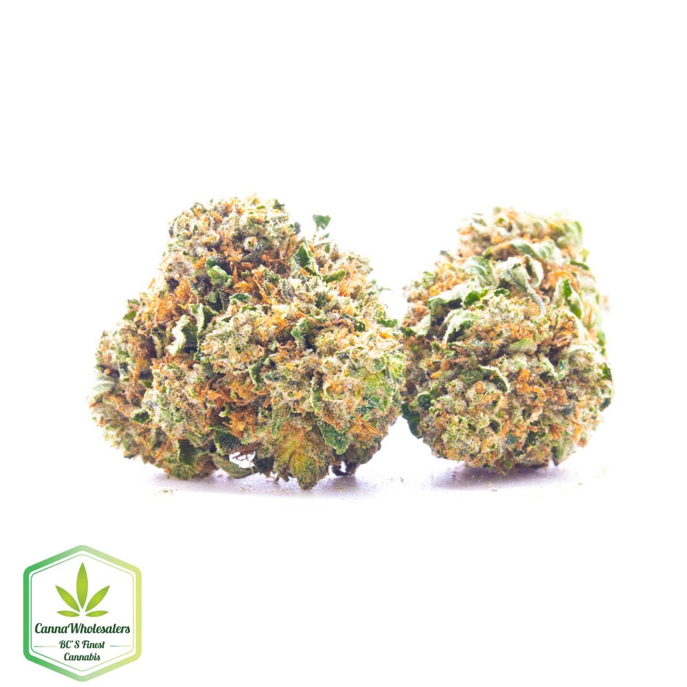 303 Kush