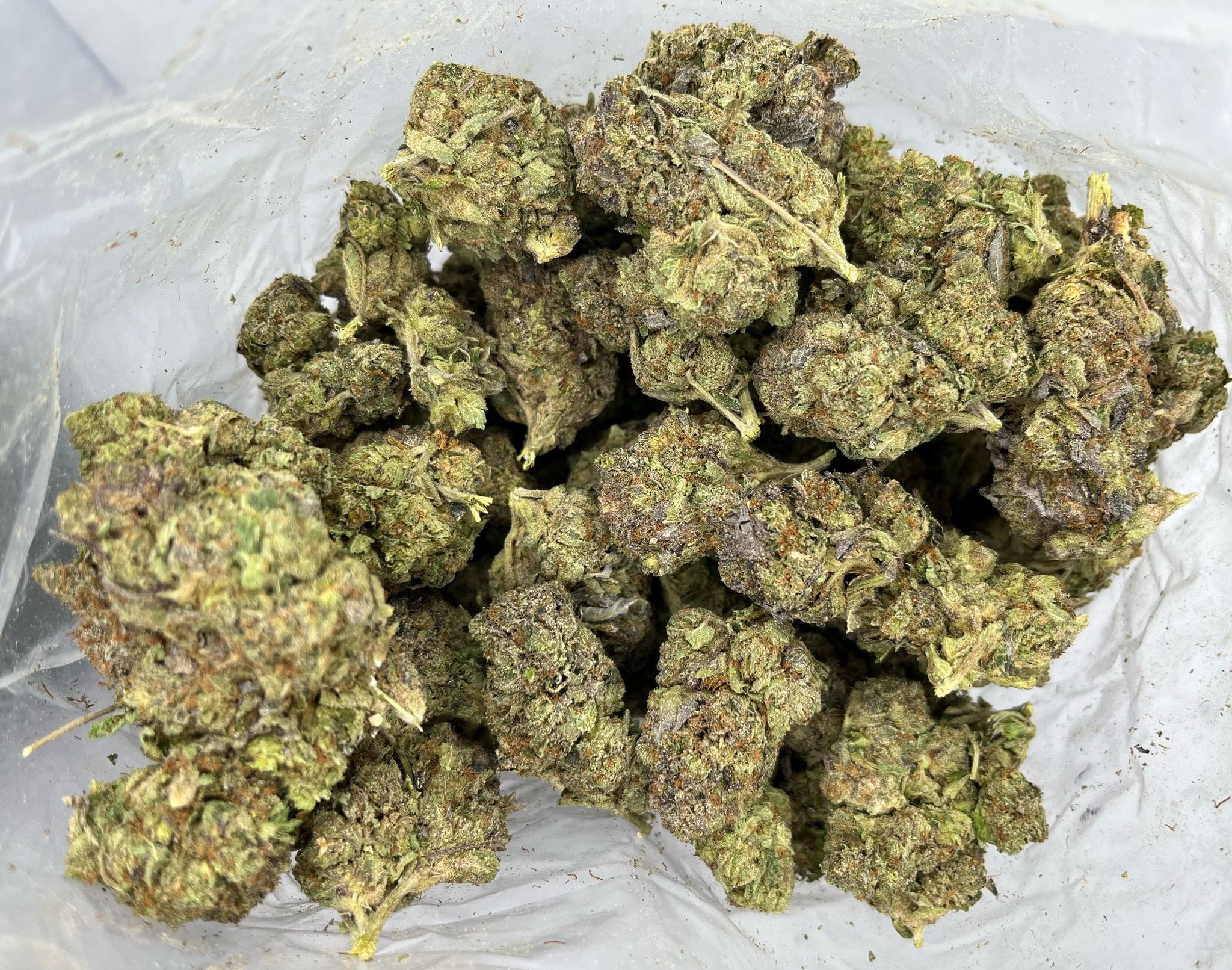 Budget Oz – Night Nurse
