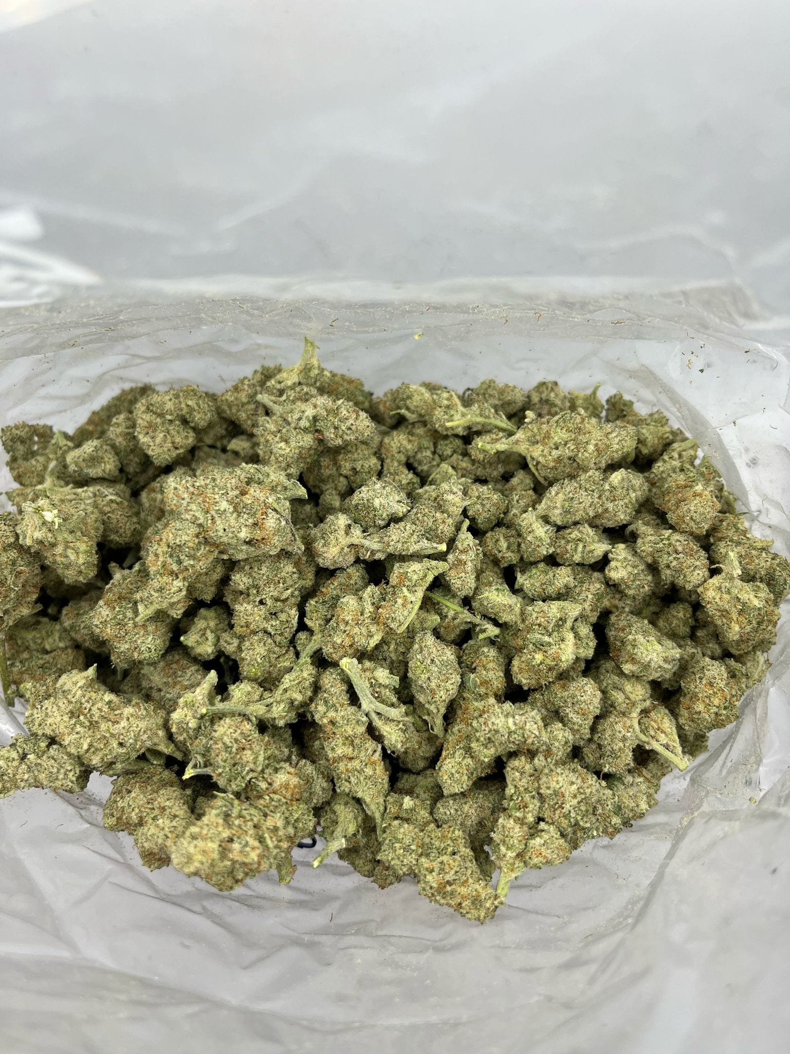 Budget Oz – Nebula