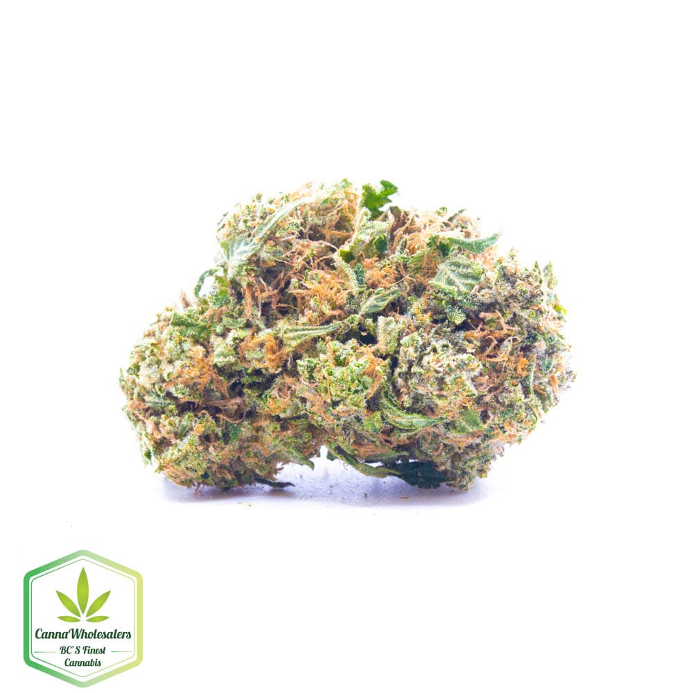 Bugatti OG