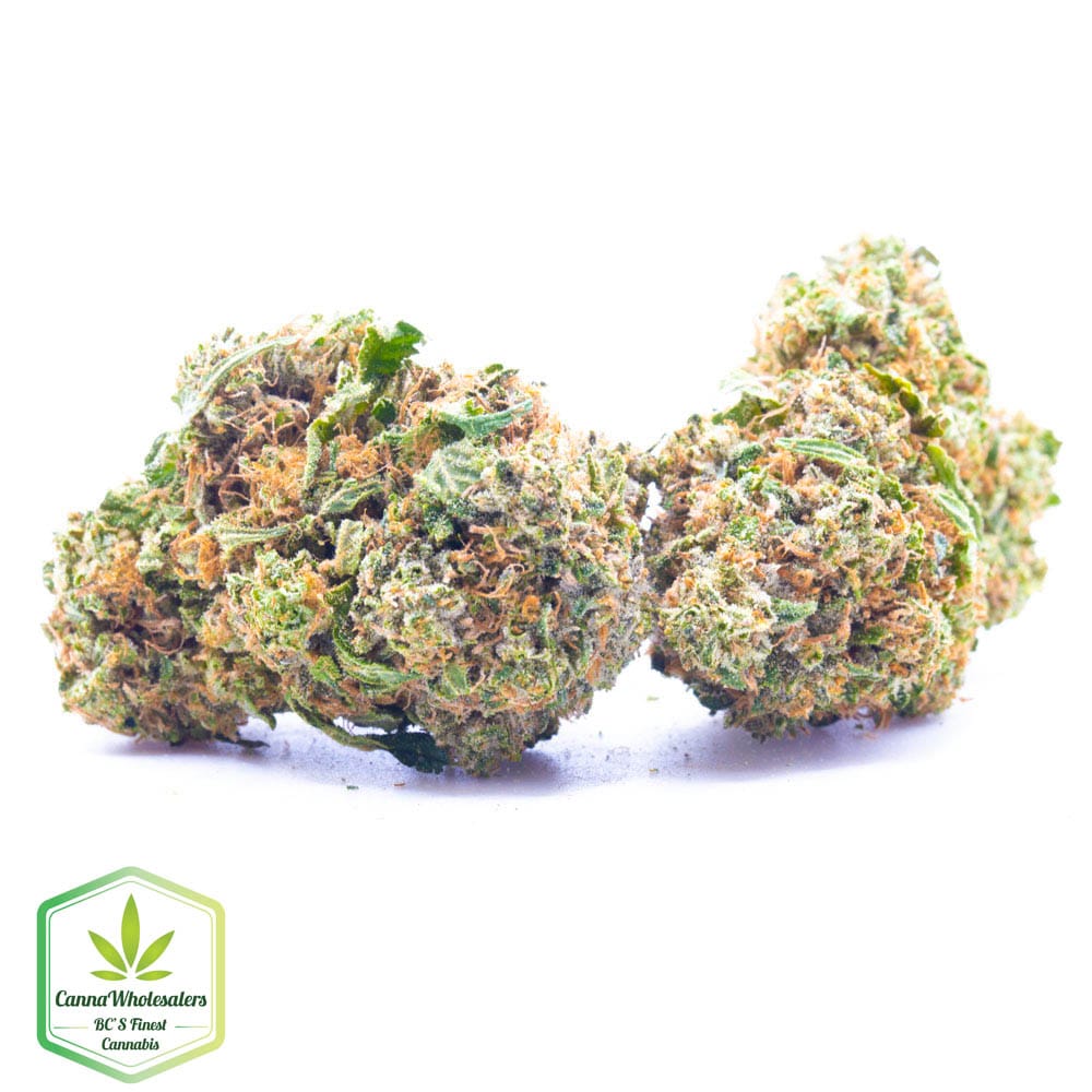 Bugatti OG