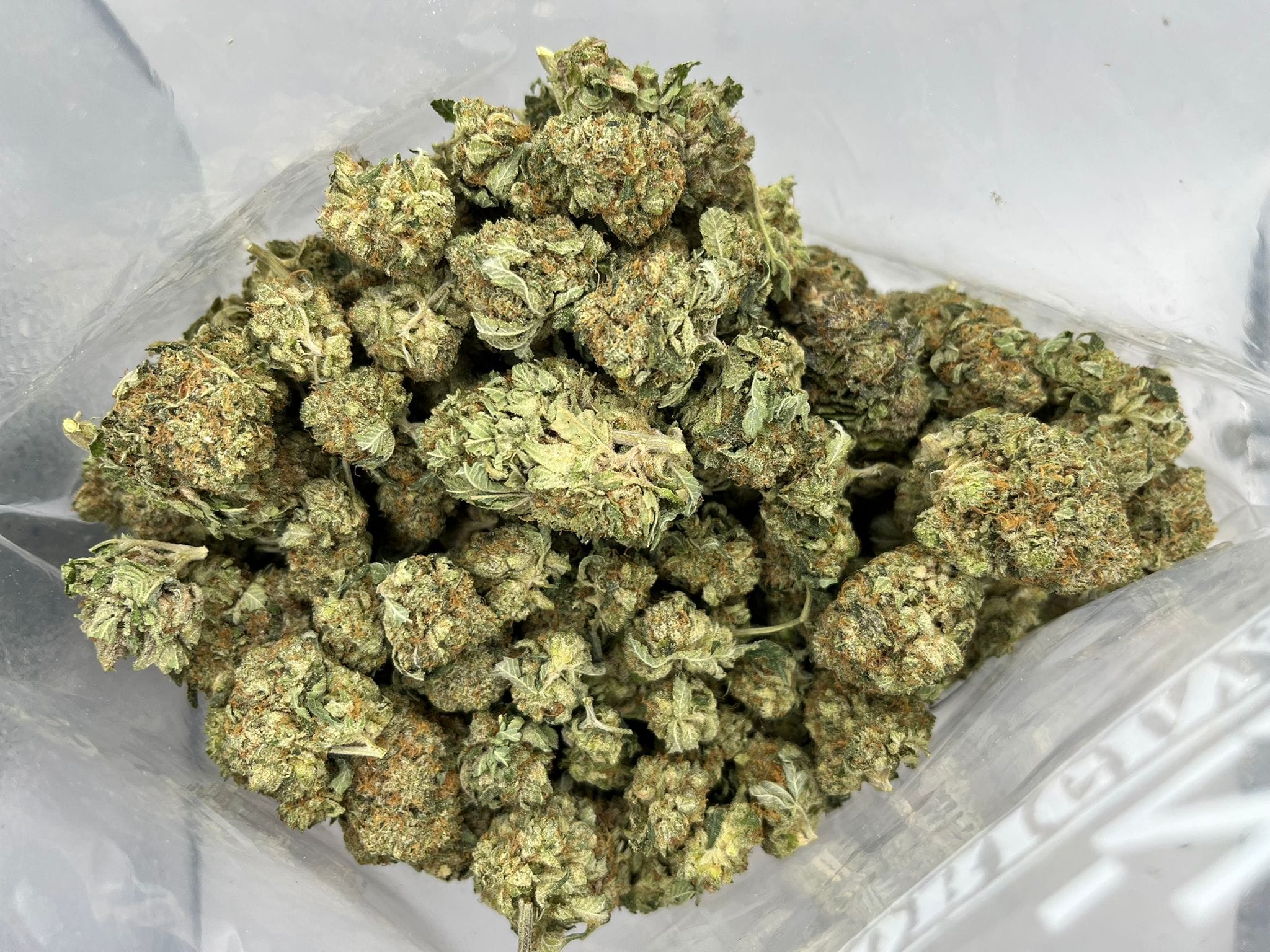Budget Oz – Bakerstreet