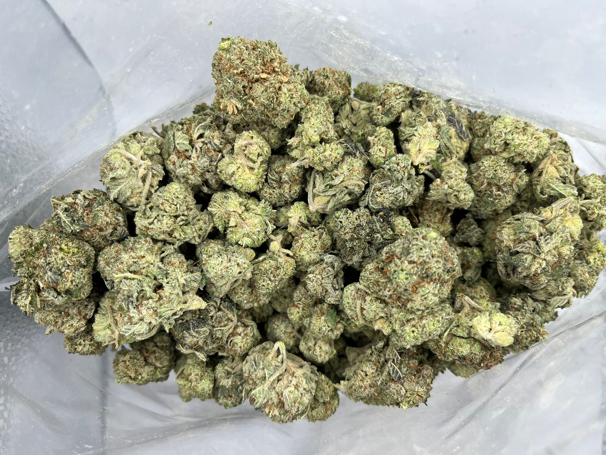 Budget Oz – Glass Apple