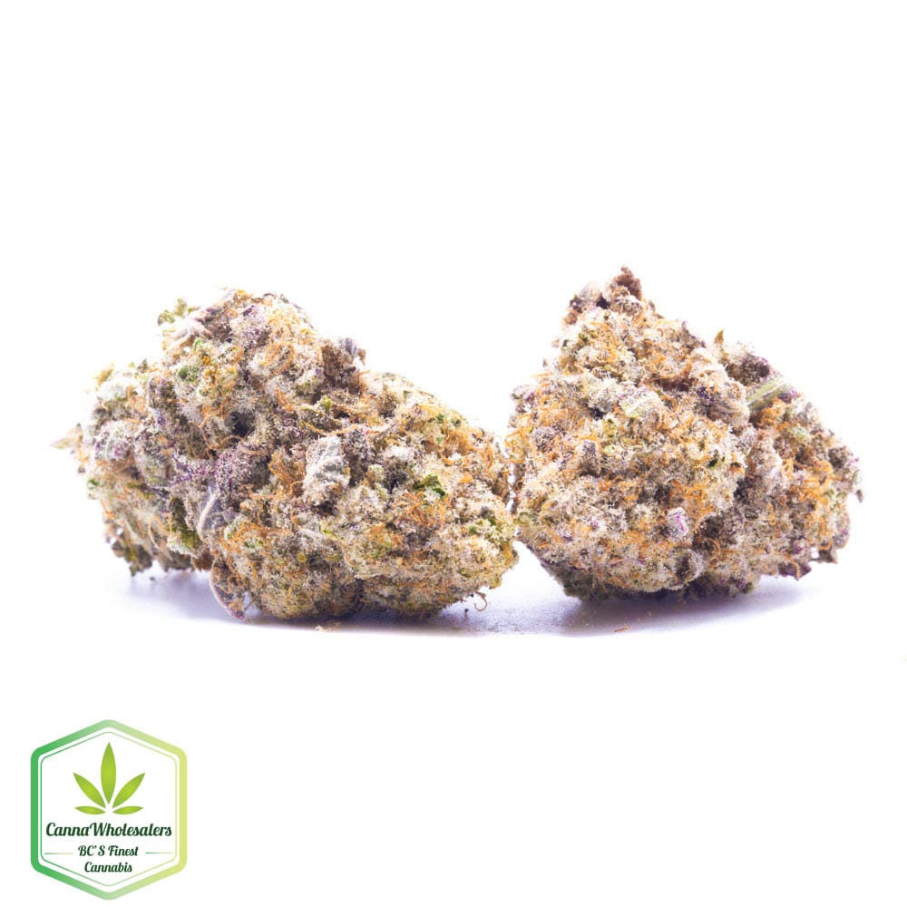 Budget Oz – Blue Dynamite