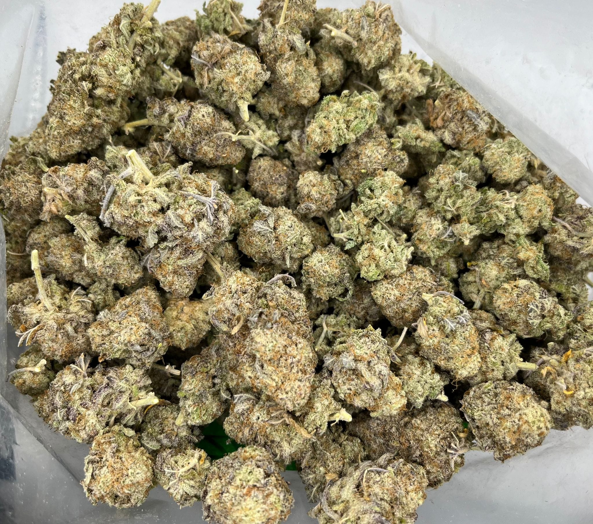 Budget Oz – Blue Dynamite