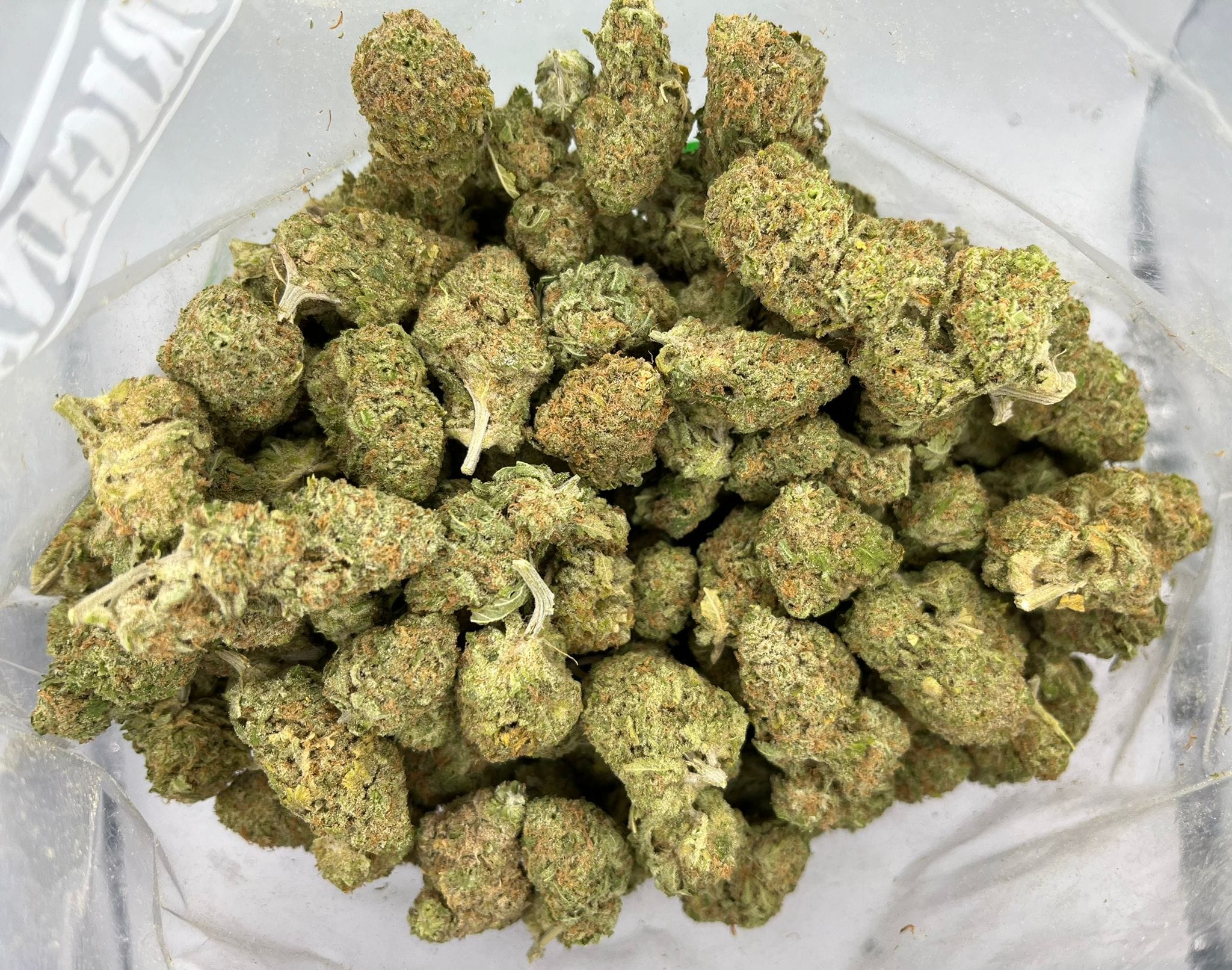 Sequoia Strawberry
