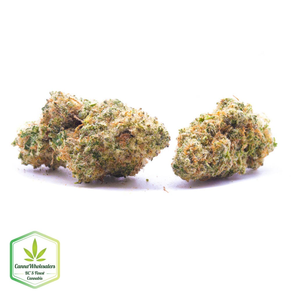 Budget Oz – Nebula