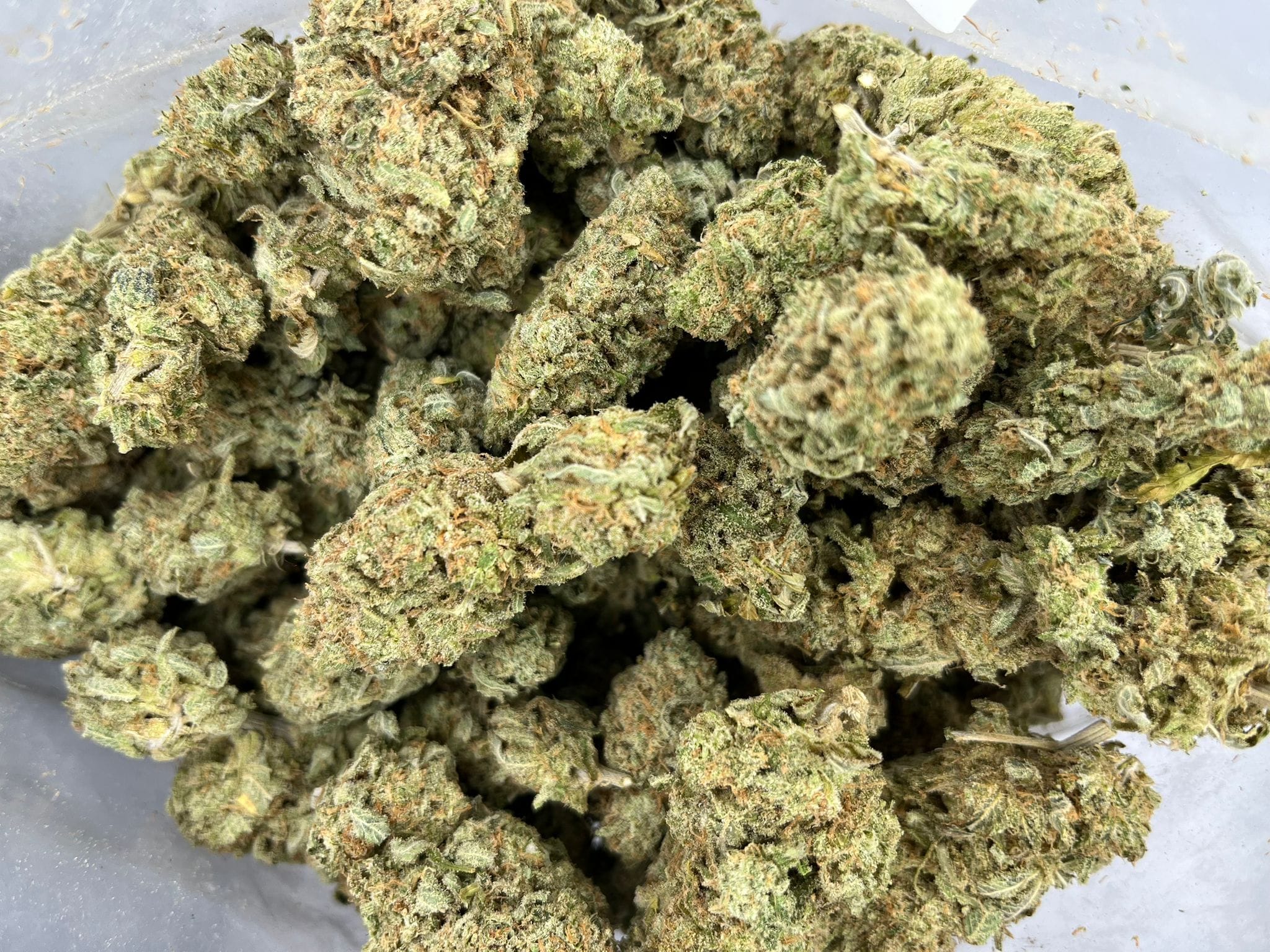 Budget Oz – Papaya