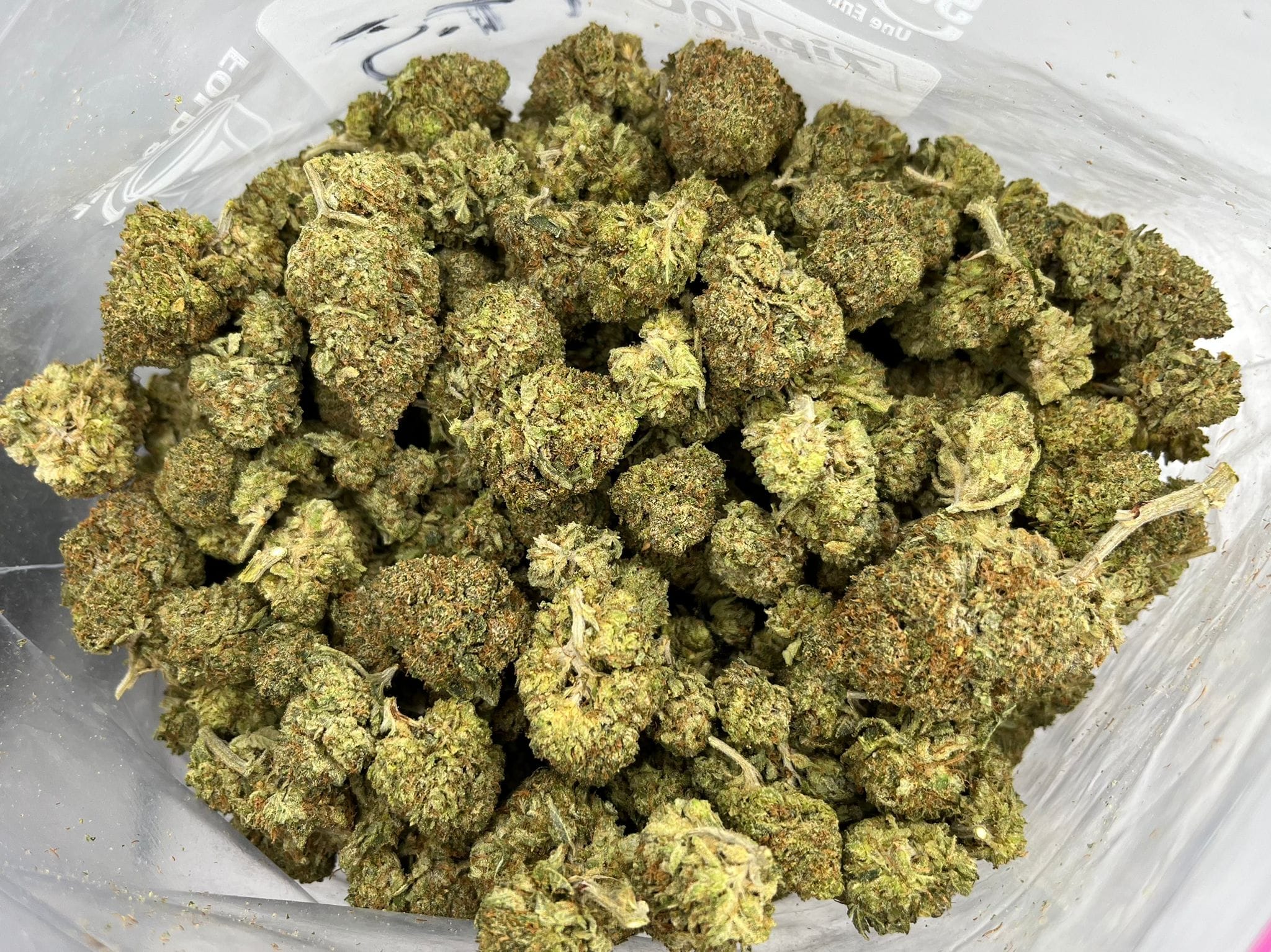 Night Nurse
