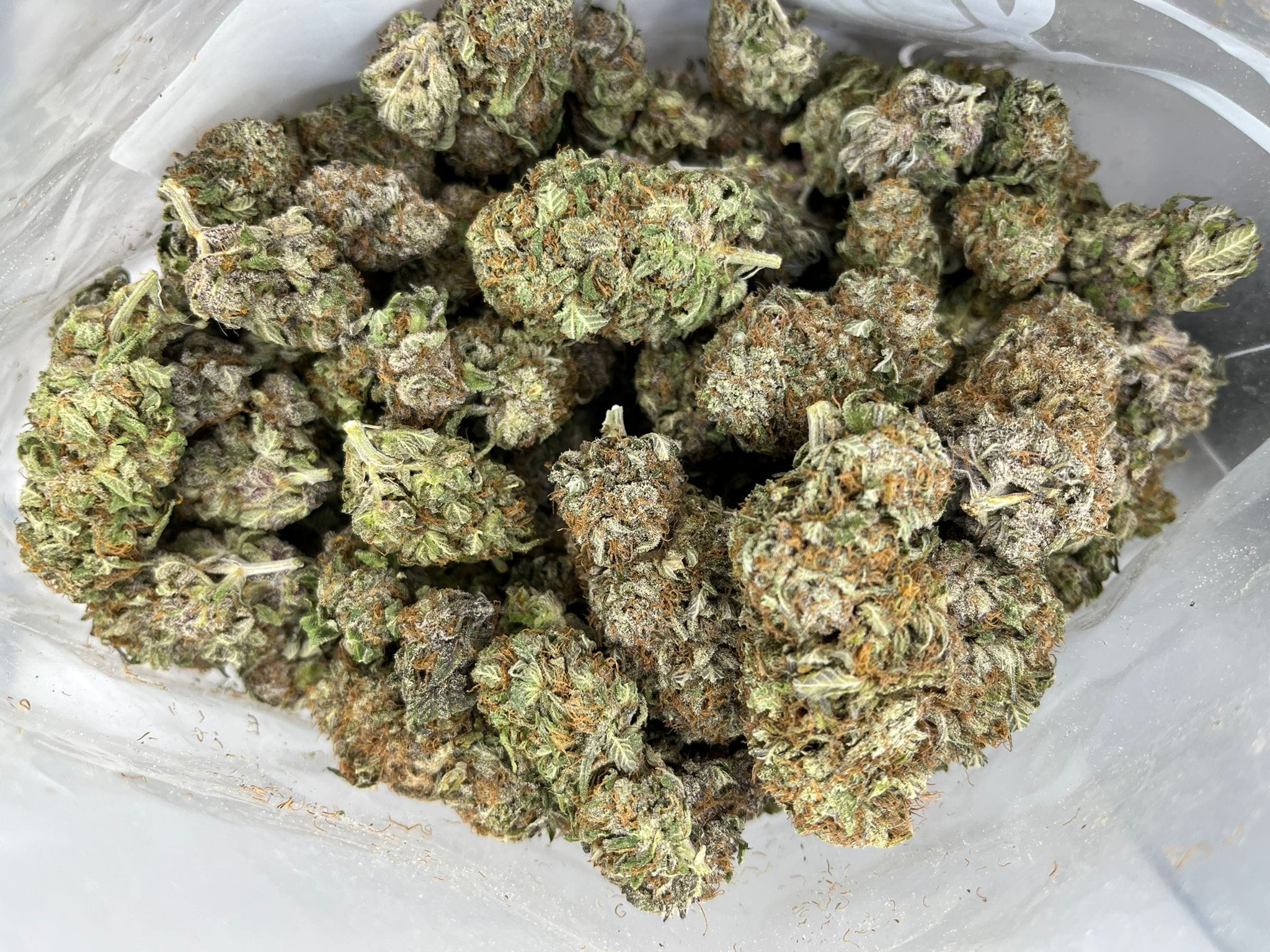 Budget Oz – Strawberry Blue